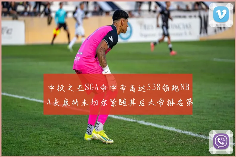 中投之王SGA命中率高达538领跑NBA麦康纳米切尔紧随其后大帝排名第七