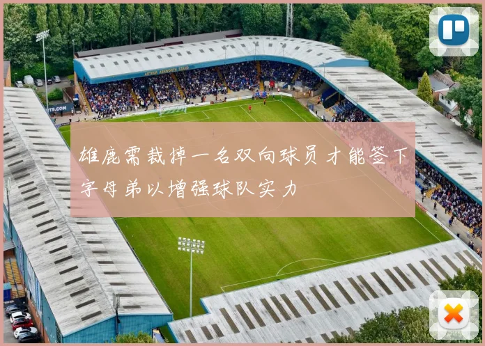 雄鹿需裁掉一名双向球员才能签下字母弟以增强球队实力