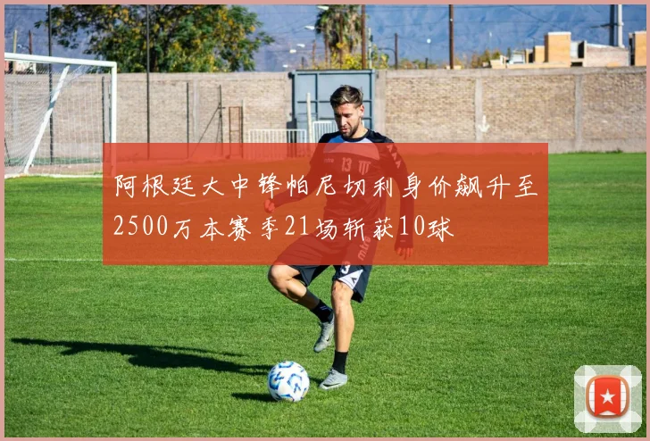 阿根廷大中锋帕尼切利身价飙升至2500万本赛季21场斩获10球